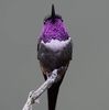 marybeaken